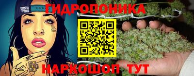 шишки Усть-Джегута