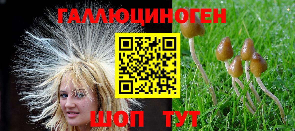 Галлюциногенные грибы ЛСД Белорецк