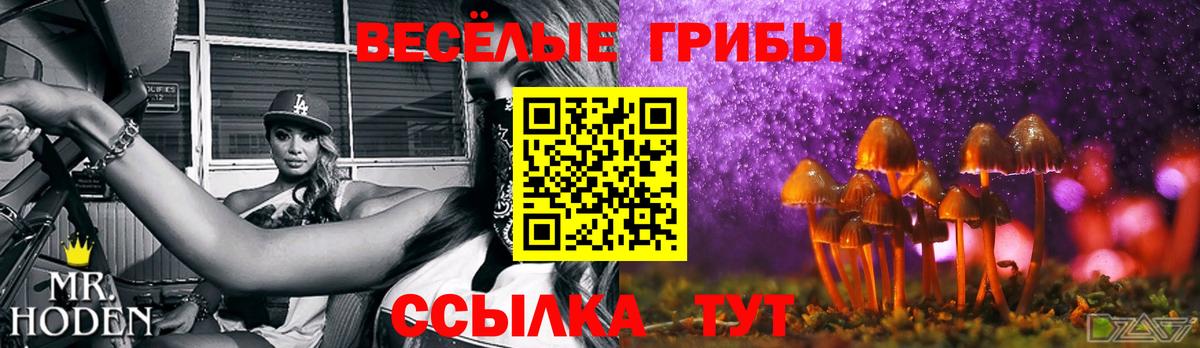 где найти наркотики  Псилоцибиновые грибы мухоморы  Белорецк  Галлюциногенные грибы Cubensis 