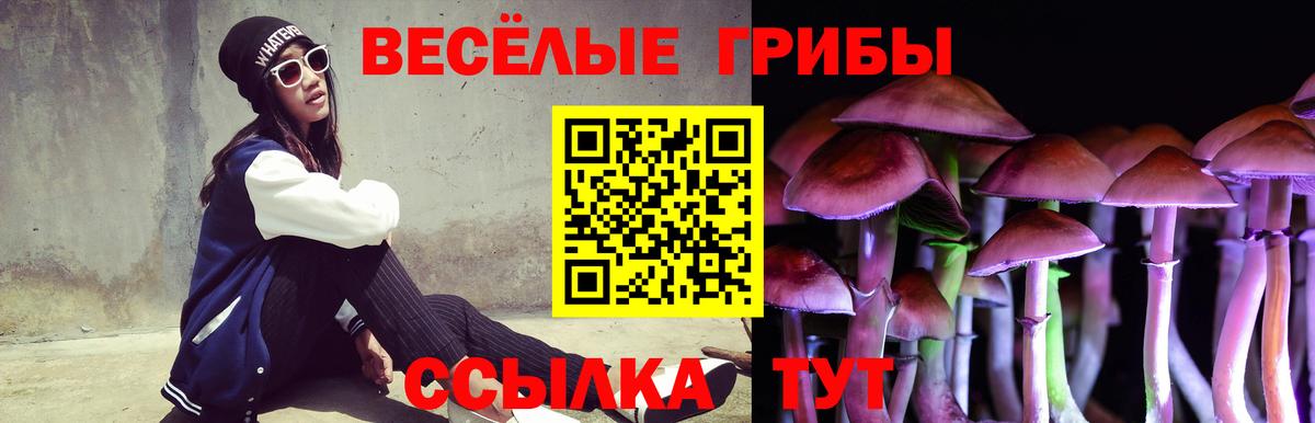 Псилоцибиновые грибы Cubensis  Вход с VPN  Белорецк 