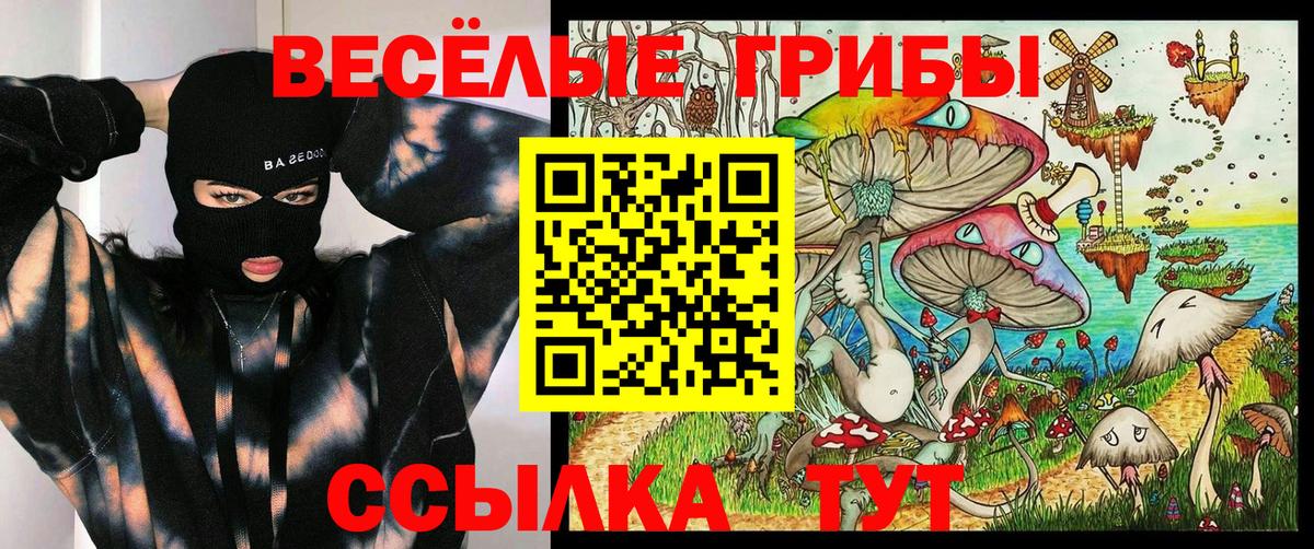 Галлюциногенные грибы Cubensis Белорецк